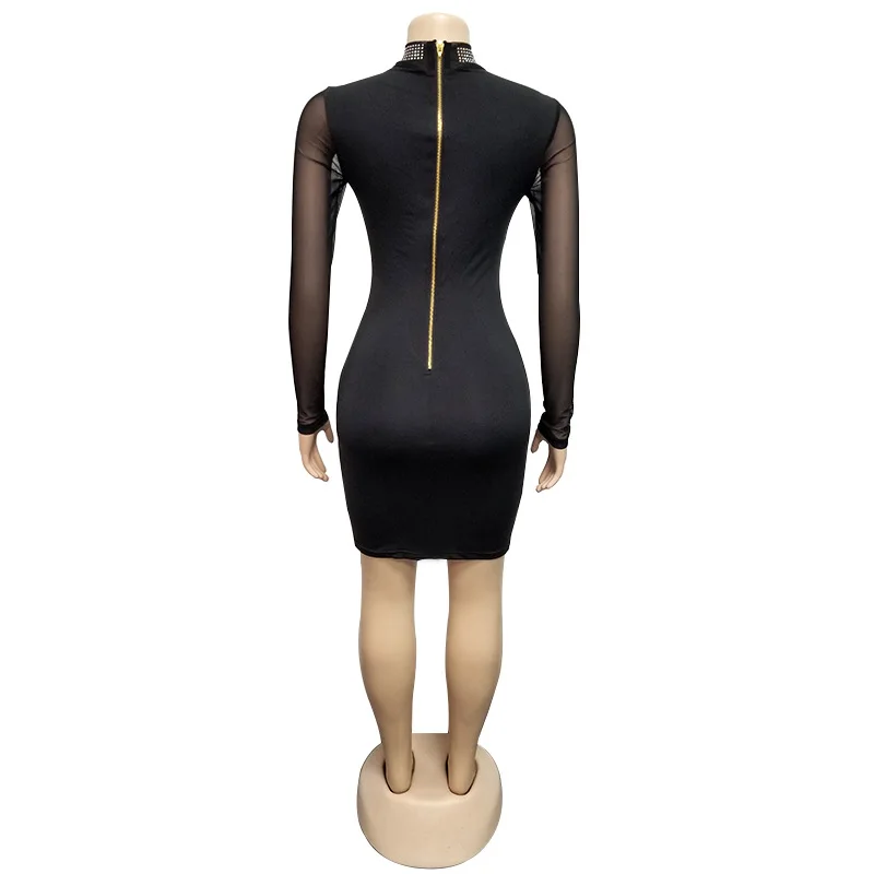 11683148115_892403295