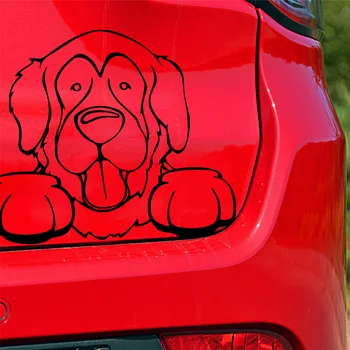 

Creative Dumb dog Car Decal Car Styling Funny Auto Stickers And Decals Car Accessories