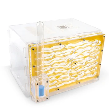 

DIY Moisture with Feeding Area Ant Nest Ant Farm Acrylic Ant Nests Villa Pet for House Ants Ant Workshop Ant Nest Science Puzzle