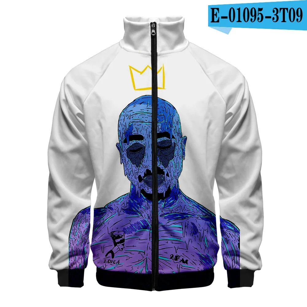 Новинка 2PAC, куртки на молнии, повседневные толстовки, модная крутая осенне-весенняя одежда, 2PAC, толстовка уличная - Цвет: H