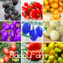 Установленные сроки! 9 видов помидоры черри flores фрукты Растения овощи горшечный бонсай растения помидоры садовые 100 шт./упак