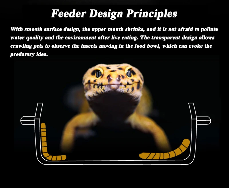 Миска для еды против побега, контейнер для живого корма для домашних животных, ящерица, хамелеон, плавающая кормушка, миска для еды против побега, черепаха, ящерица