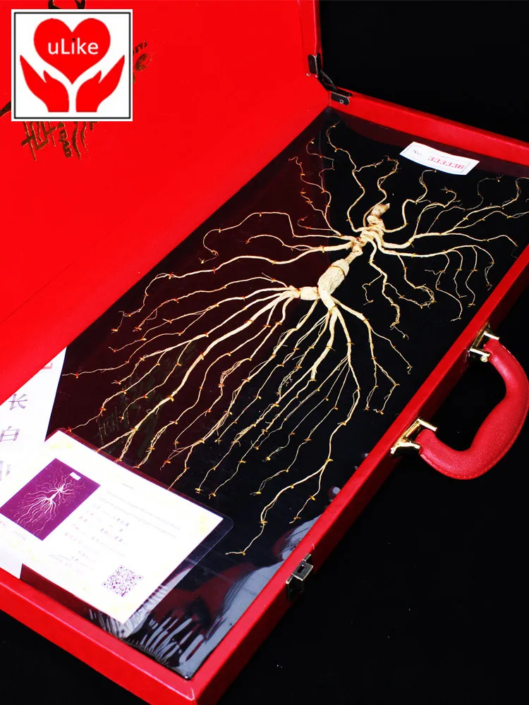 

Wild Dry Panax Ginseng Gift Box Certified Root Net Weight 18-20g