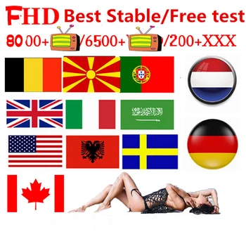 

IP Arabic Android TV Box Netherlands Belgium UK Ip m3u TV hot xxx Sweden Canada USA UAE Albania Germany No APP included
