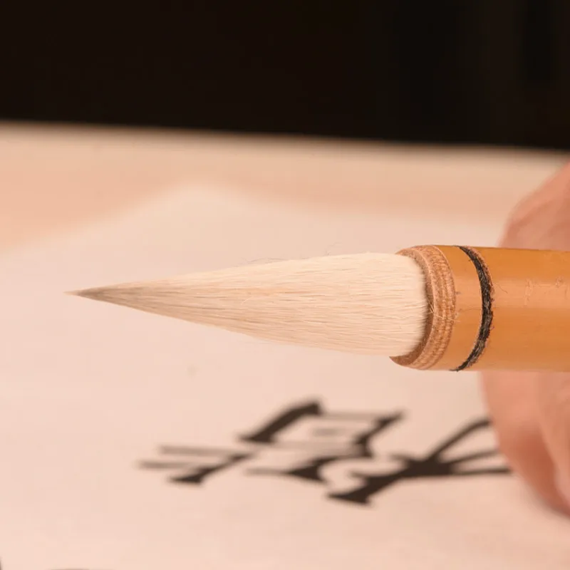 Calligraphy Brush Pen Chinese Lian Calligraphy Brush Caligrafia Student Aquarelle Painting Writing Pratice calligraphy brush