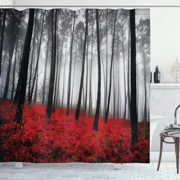 

Mystical Fantasy Woodland Under Heavy Fog Tall Trees Bushes Contrast Colors Bathroom Decor