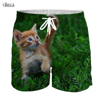 

2019 Summer Shorts For Girls Pants Cute Lawn Cat 3D Print Baby Boy Shorts Fashioin Casual Streetwear Sportswear Children's Short