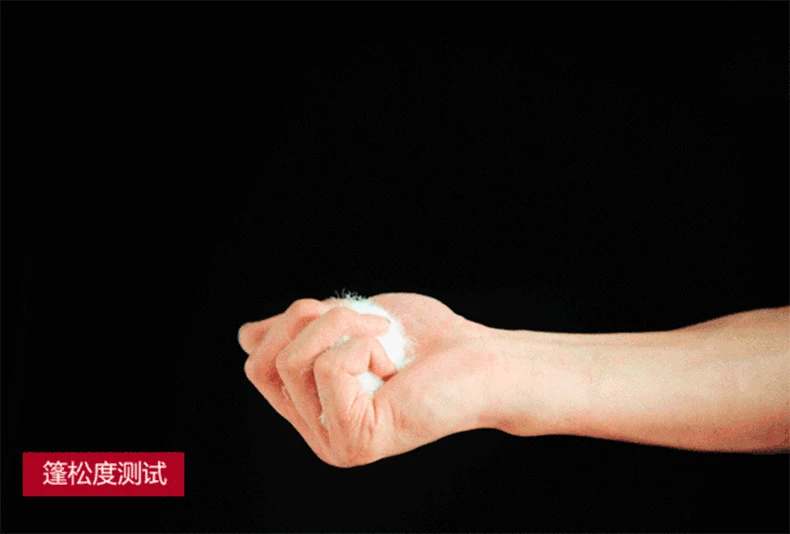 20153978692_773887269 (1)