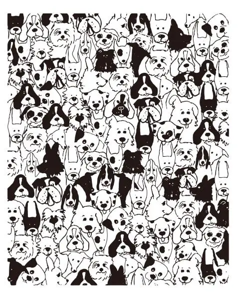 44
