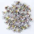 Gray daisy