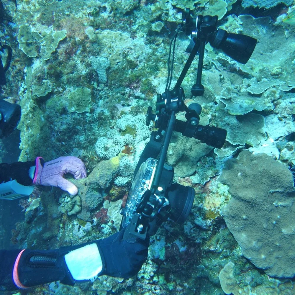 PULUZ 40 м подводный глубина Дайвинг чехол водонепроницаемый камера корпус для Canon G7 X черный легкий защитный чехол