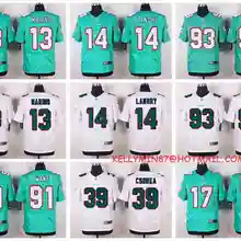 Stitiched, Майами Ndamukong Suh Cameron Wake Larry Csonka Jarvis Landry Dan Marino Elite Jersey