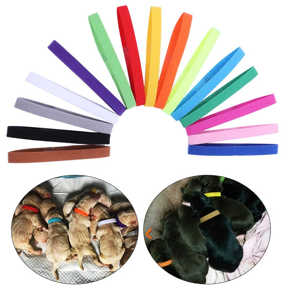 15 unids/set ajustable ID collares Collar de perro de Nylon etiqueta para la mascota perro Collar, Collar de boda perro gato Placa de perros grandes grabado