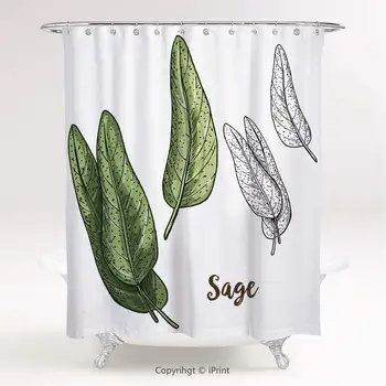 

AM27939 Popular Shower Curtain/Botany, Sage Herbs Leaves Hand Drawn Realistic Mediterranean Spice, Pale Green Pistachio Green
