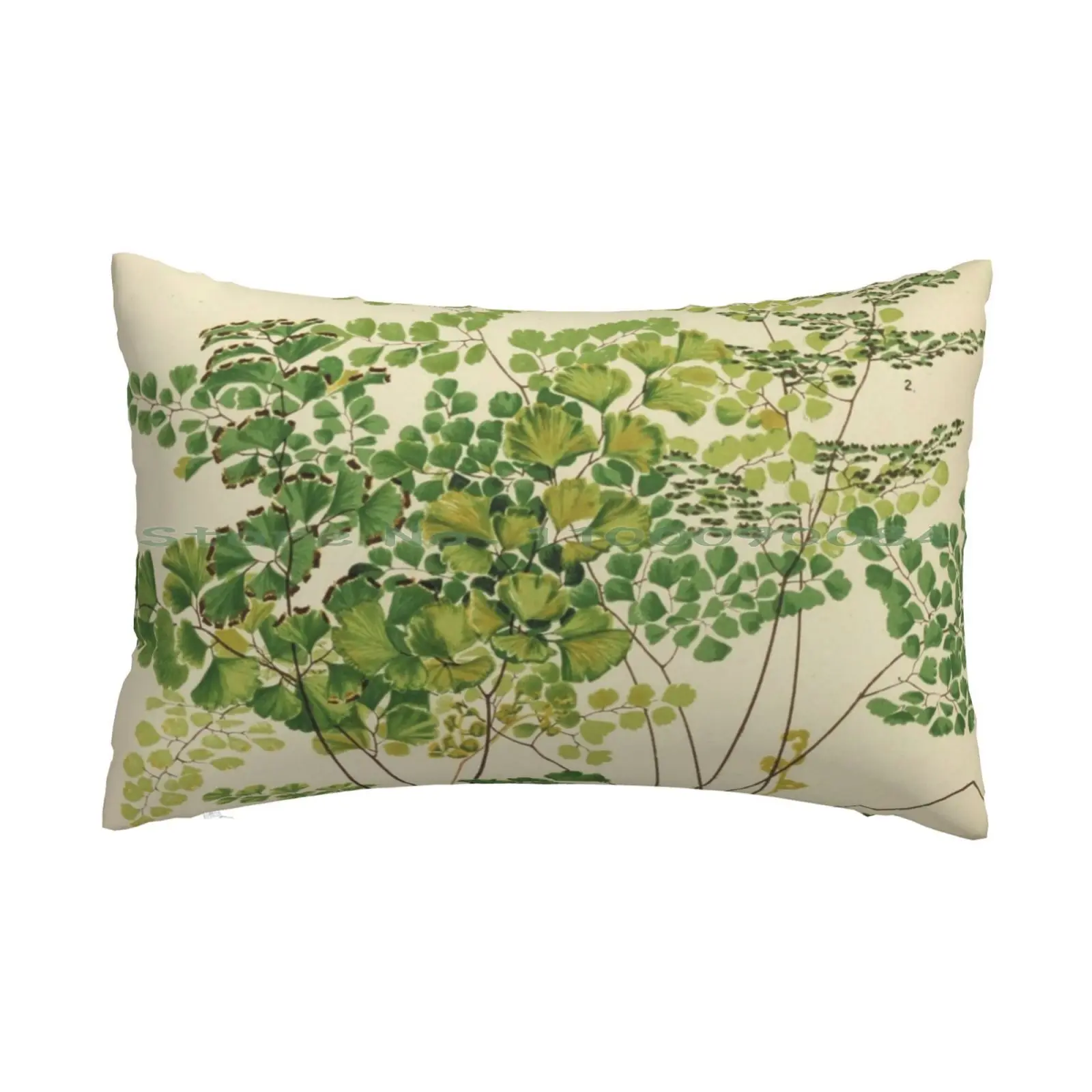 

Ferns Pillow Case 20x30 50*75 Sofa Bedroom Plants Gardener Botanical Green Outdoors Wild Vintage Boho Antique Simple Home Fern