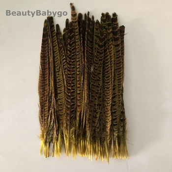 

25-30CM 10-12 Inch Ringneck Pheasant Tails Feather OR Lady Amherst Pheasant Feathers