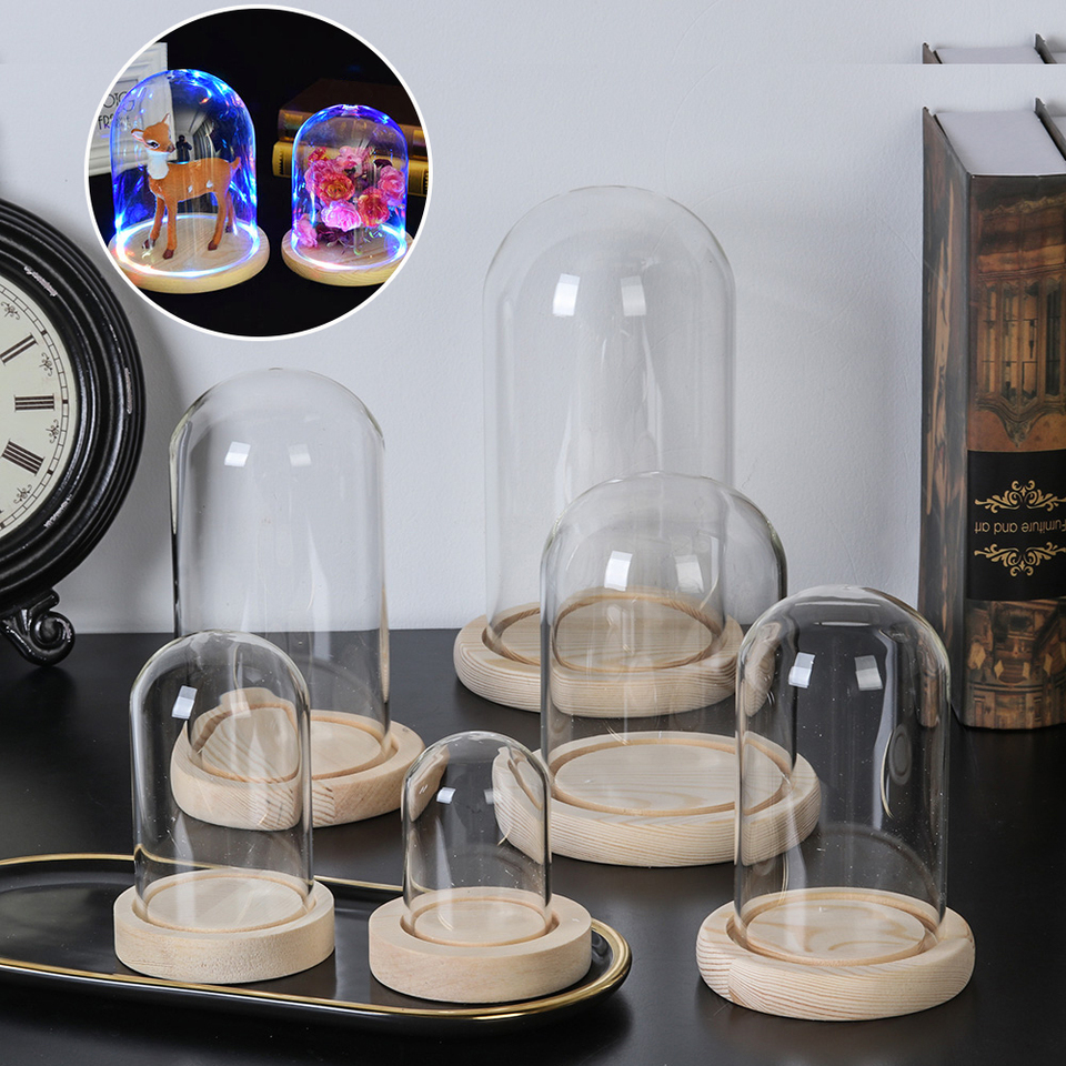 Terrarium Bottle with Wooden Base Dust Cover Glass Cloche Jar Display Stand Cover Display Box Immortal Flower Storage Bottle