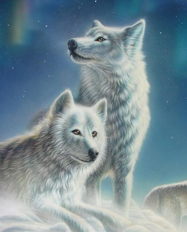 

Zooya Full Circular 5D Diamond Painting Two Lonely Wolf White Snow Wolf Diamond Embroidery Cross Stitch Diamond Home Decor Jq346