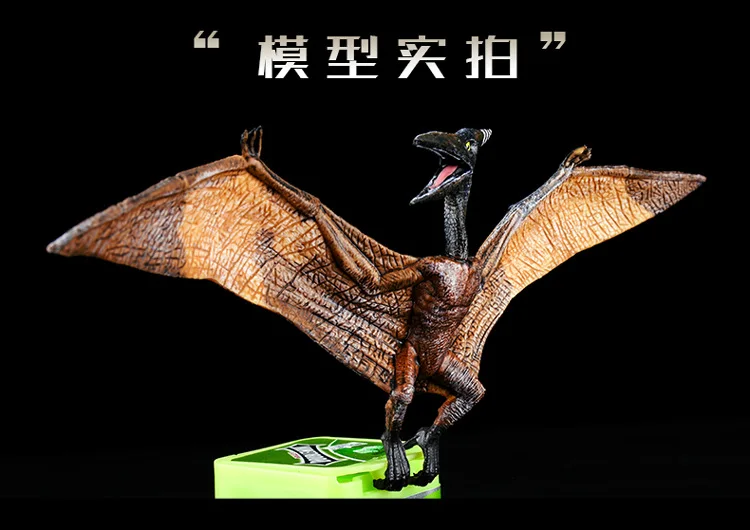 [Птерозавр] игрушка динозавр модели динозавров для маленьких мальчиков Имитация животных T-Rex в парк развлечений Трицератопс
