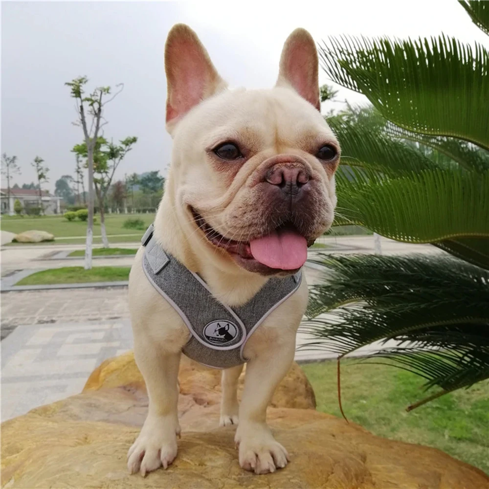No Pull Sport X5 Dog Harness Reflective Pet Harness for Small Medium Dogs Breathable Protective Dog Harness Vest Easy Control