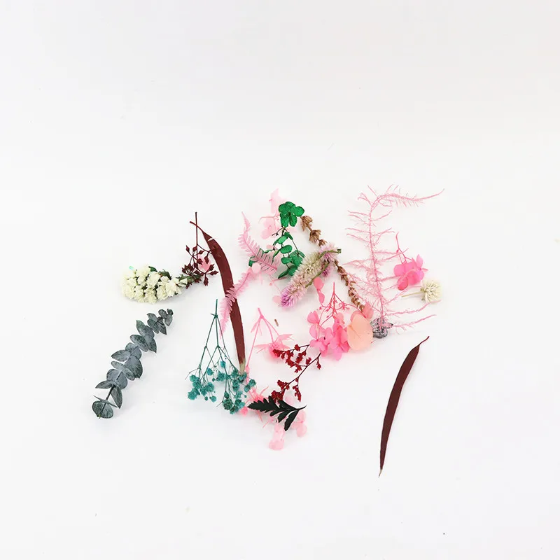 1 коробка DIY настоящие сухие цветы сухие растения искусственные цветы для ароматерапии свеча эпоксидная смола, ювелирное ожерелье аксессуары для изготовления