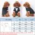 Pet Dog Cat Puppy Clothes Свадебный Костюм Смокинг Костюм Рубашка с воротником XS S M L XL Смокинг Галстук Бабочка Щенячья Одежда Пальто