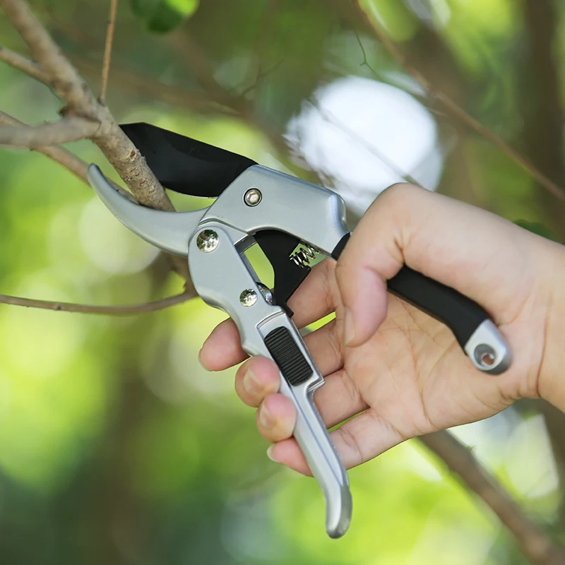 Секатор для веток деревьев. Секатор кукер. Секатор садовая ножница. Секатор для веток деревьев. Секатор для высоких веток.