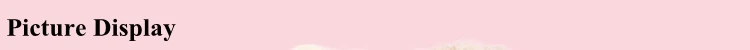 2 picture display.jpg