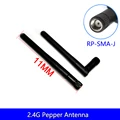 11CM Antenna