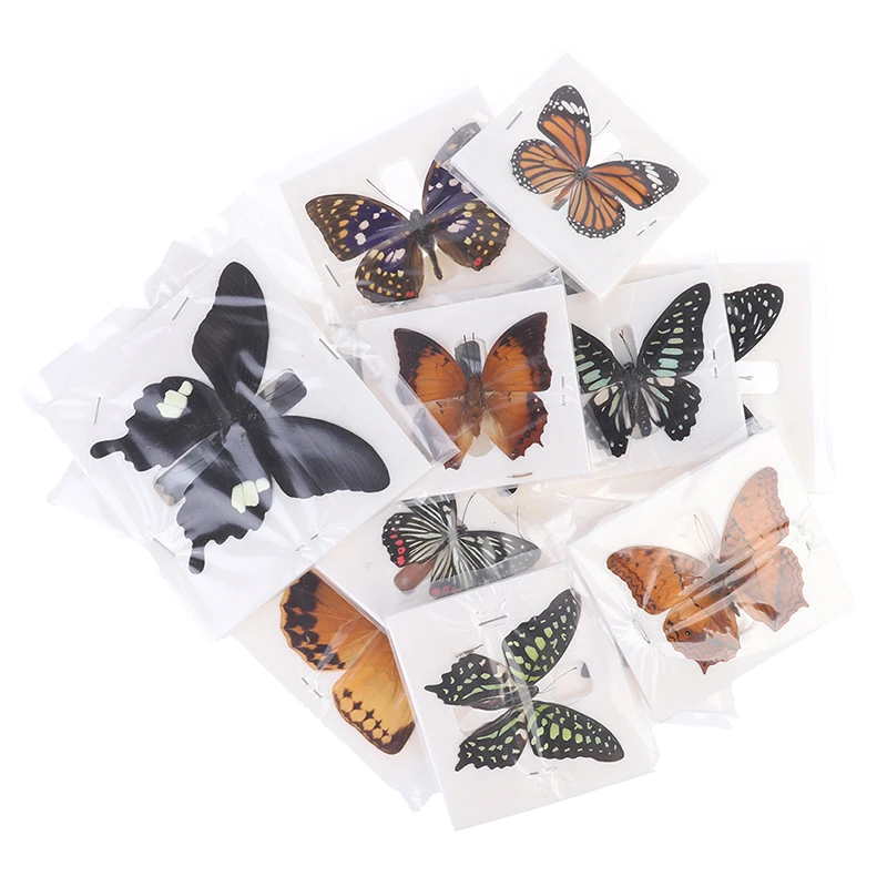 

1pc Random Butterfly Specimen Folded Real Insects Wholesale Butterfly Specimen DIY Key Chain Handmade Accessories