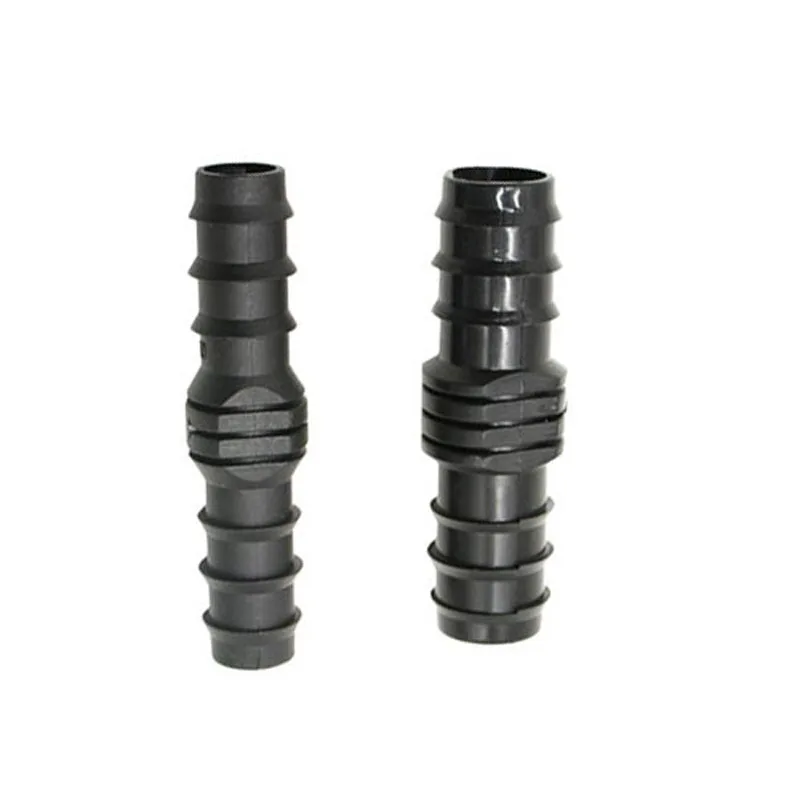 DSC_8031 - 副本 (2)