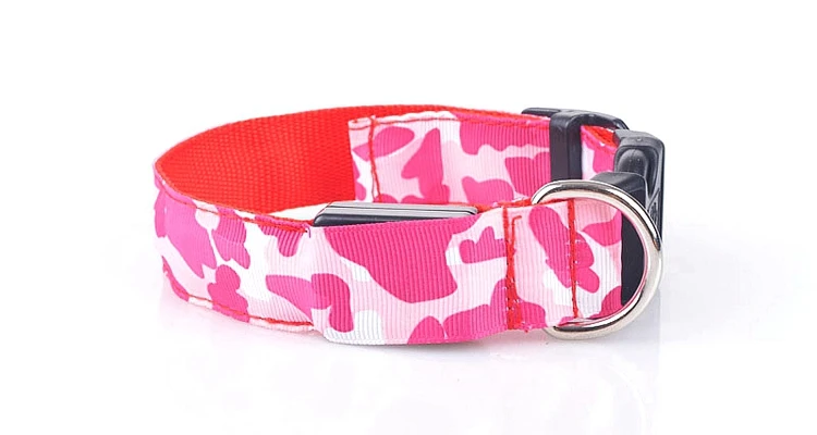 dog collar (19)
