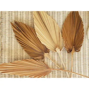

1pc Dried Flower Natural Pu Fan Leaf For DIY Home Shop Display Decoration Materials