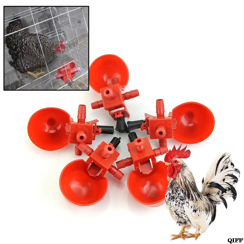 

5Pcs Automatic Bird Coop Feed Poultry Water Drinking Cups Plastic Chicken Fowl Drinker Cups Hanging Chicken Ant farm Beauty Tool
