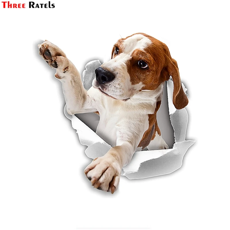 赤ちゃんのトイレの車の窓用の3ratels 10に取り付けられたビーグル3d犬のステッカー Wall Stickers Aliexpress