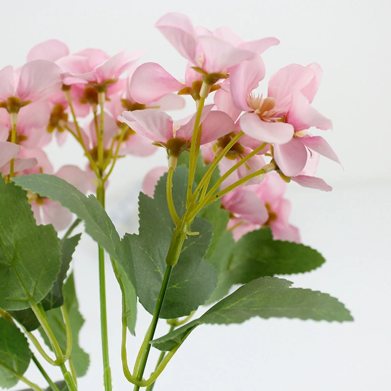 6A4579 _12_