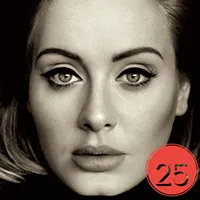 CD альбом 25 CD-китайский-английский контрастная лирика и Фотокнига