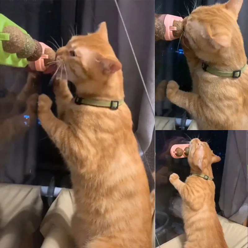 3 шт./компл. самоклеящиеся поворачивается игрушки для кошек Catnip кота из натуральных материалов кошачья мята лечения шарики настенное крепление для игры котов очистки игрушка "зубы"