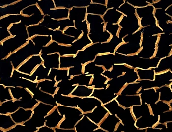 

Acrylic-Celluloid Sandwich Color Sheets 3.0mm for Jewelries, Crafts, Art Works, Decoration - Tunnel Black (CL4032)
