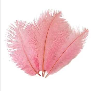 

50 PCS 8-10 Inches 20-25CM ostrich Feathers Fluffy Wedding Dress DIY wall Decoration decorative Feathers Photo background