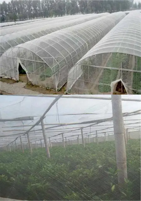 60/80/100Mesh Gardening Net Insect Net Bird Net Mist Net Nylon Net  Protection Net Greenhouse Fruit Vegetable For Chicken Dog Cat - AliExpress