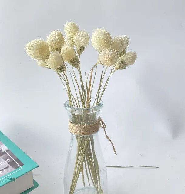 15Pcs Dried Small Pampas Grass Flowers Pantas Artificiales Para Decoracion Real Plants Home Decor Wedding Decoration White no vase