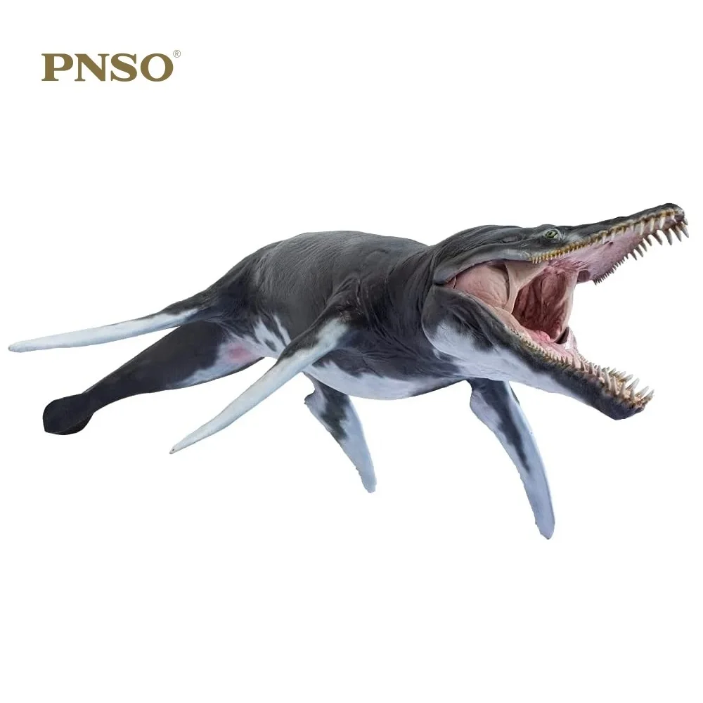 1:35 PNSO Marine Museum Animal Jeff The Kronosaurus Scientific Art Model  Dinosaurs Classic Toys for Boys Movable Jaw
