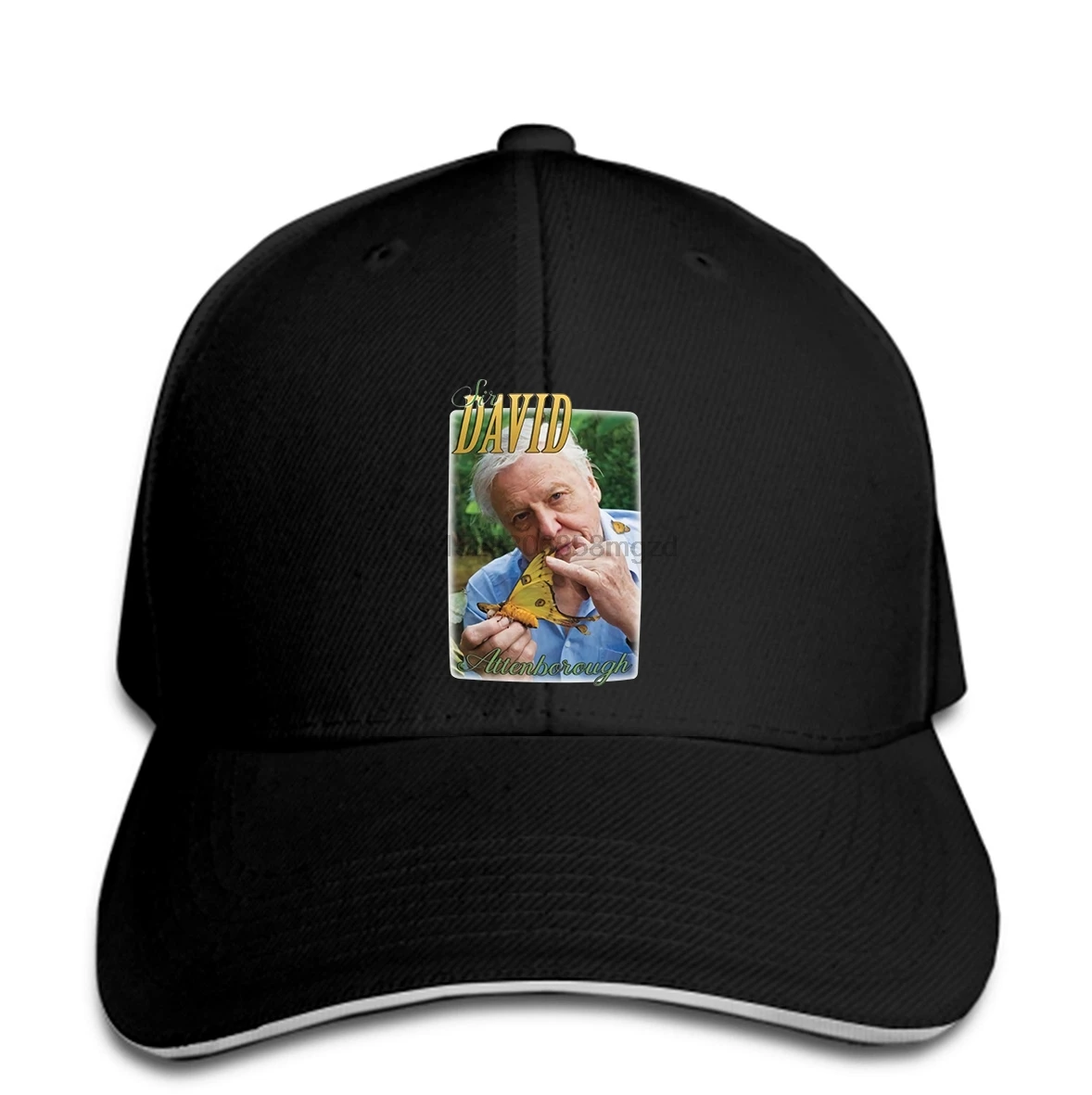 

Men Baseball Cap Sir David Attenborough Men Baseball Cap Top Tumblr Documentary 90s Retro Vintage Snapback Cap Women Hat Peaked