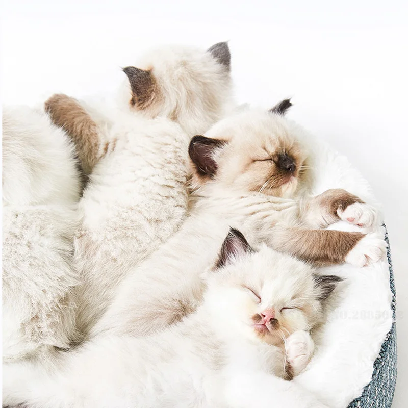 Xiaomi PETKIT кровать для кошки глубокого сна зимний теплый плюс бархатный Универсальный питомник Съемный и моющийся домашний коврик маленькая плюшевая собака кровать
