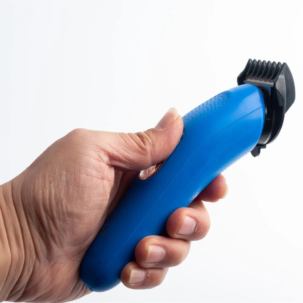 QXH200413084_0617472045510271221