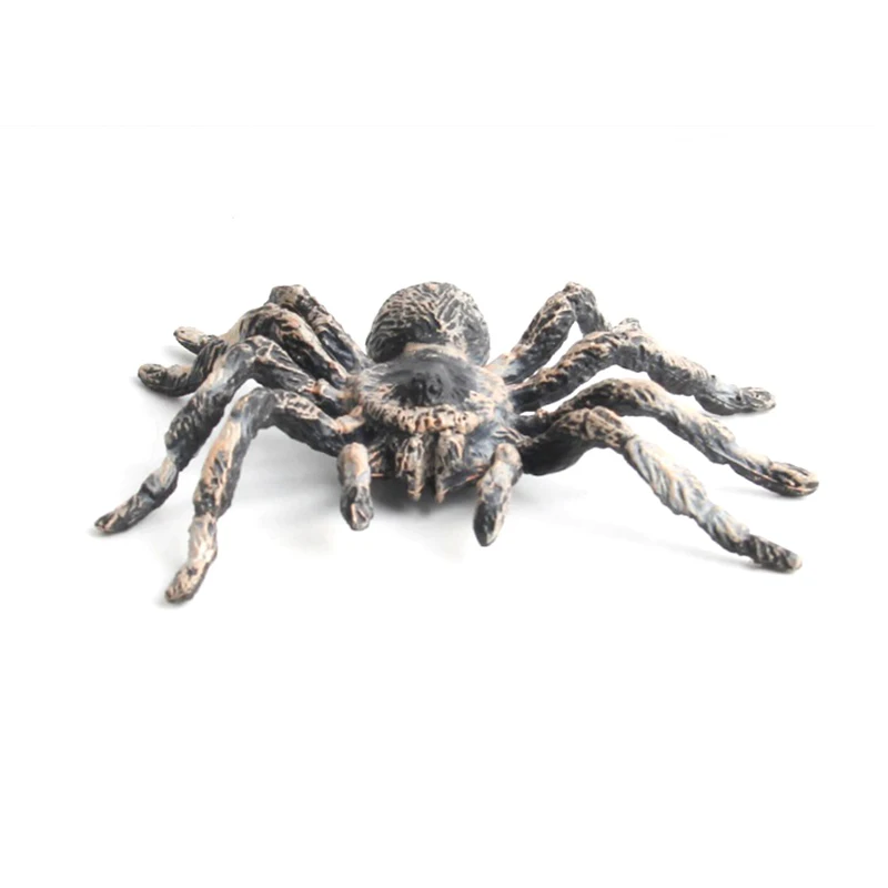 

1pcs Funny Toys Animal Spider Models Simulated Figures Educational Toys For Children Kids Home Decor Mini Doll Figurine Toy Gift