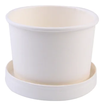 

25 Sets of Simple Durable Storage Ice Cream Box Ice Cream Cup Ice Cream Case for Store Home