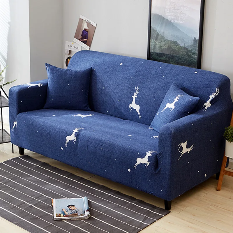 10979006212_994781065