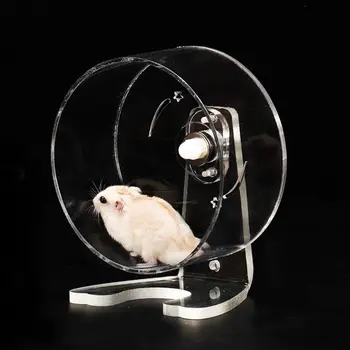 

Transparent Acrylic Hamster Running Exercise Wheel Squirrel Chinchilla Rotatable Racing Treadmill Hedgehog Training Jogging Pet